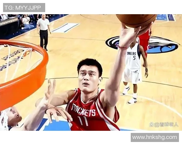 姚明在2003赛季的精彩表现与数据分析探讨