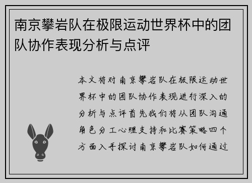 南京攀岩队在极限运动世界杯中的团队协作表现分析与点评