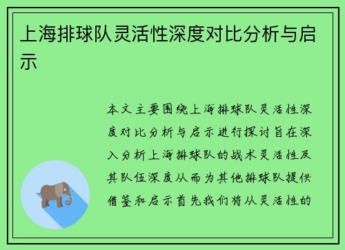 上海排球队灵活性深度对比分析与启示