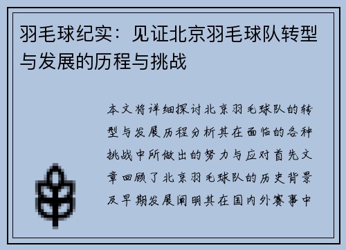 羽毛球纪实：见证北京羽毛球队转型与发展的历程与挑战